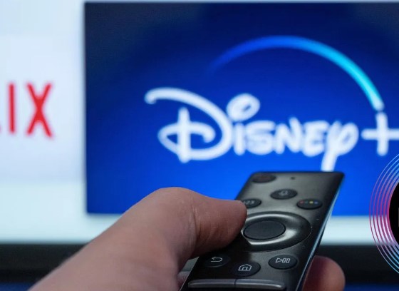 스트리밍 구독 호핑을 권하는 사용자들이 많다. (사진=넷플릭스, 디즈니)