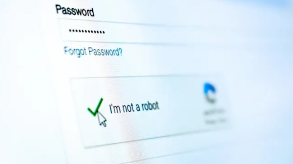 '캡차'가 진행 중인 화면으로 최근엔 이를 악용한 가짜 '캡차' 수법의 해킹이 기승을 떨고 있다. (출처=기즈모도)