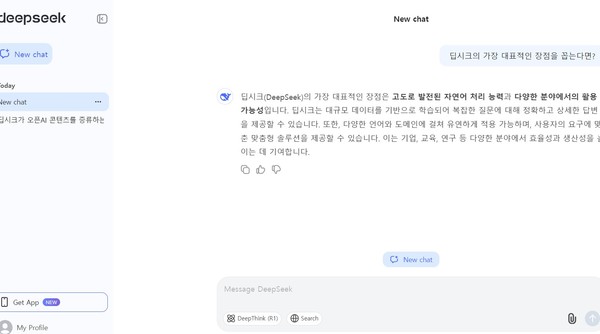 딥시크 V3 프롬프트 화면. (출처=딥시크)
