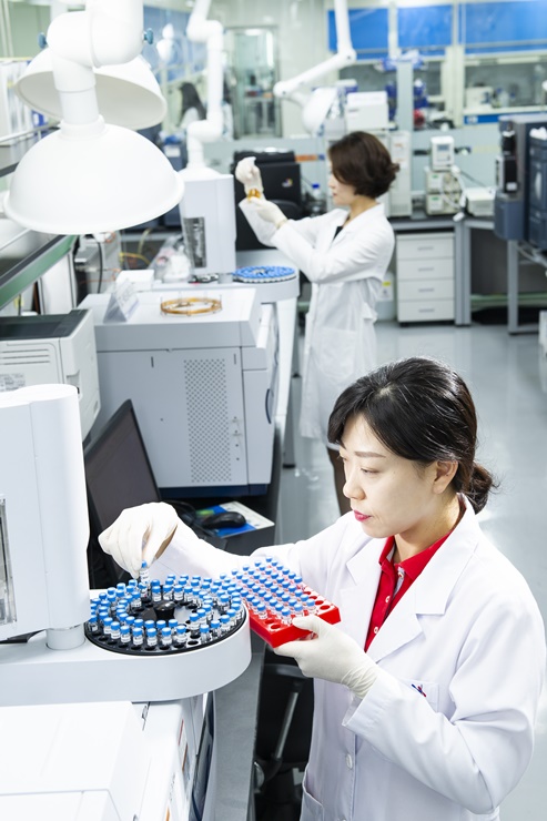 (사진:한국인삼공사)