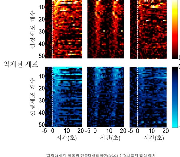 (사진=기초과학연구원)