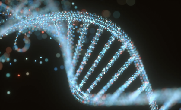 DNA 이미지.(사진:테크크런치)