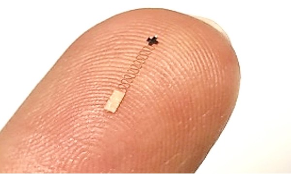 손가락에 붙여놓은 초소형 뇌 센서. (출처=미 국립과학원)