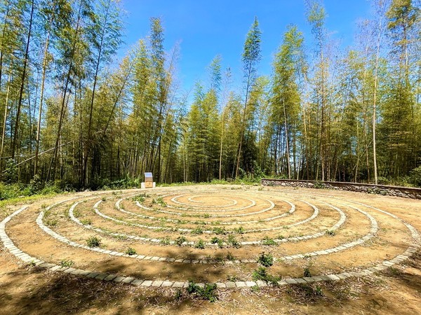 Caoling Shihbi(草嶺石壁) 산림 휴양지 [사진: Adela Lin]