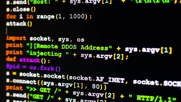 코딩 화면. (사진=셔터스톡)