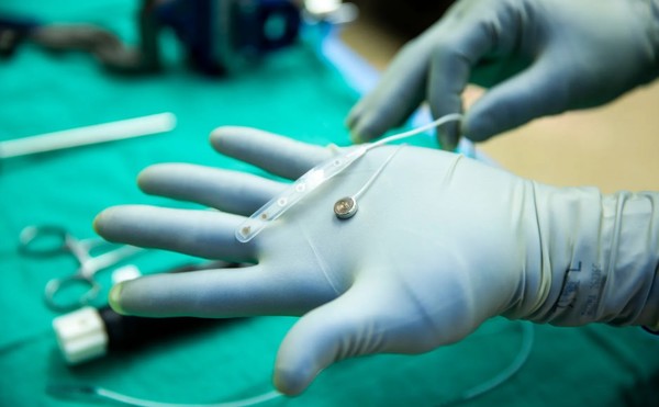 미국 미시간 대학교가 시도한 BCI 장치. (사진=미국 미시간대학교, 와이어드)