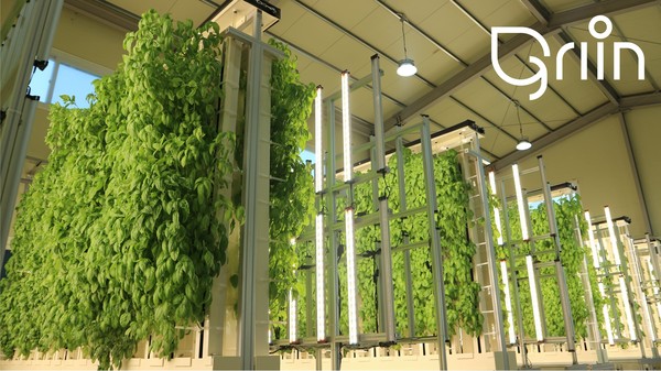 스마트온실 모습. (출처=코맥스 벤처러스)