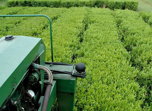 해외 각국에서도 스마트농업이 빠르게 확산되고 있다. (출처=아이스톡)