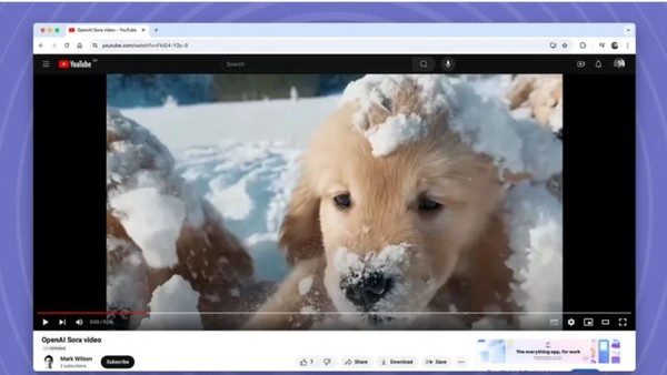 소라(Sora) 이미지. (출처=오픈AI)