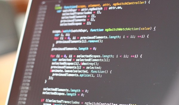 바이브 코딩 화면. (출처=셔터스톡)