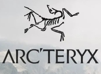 사진: 대만 탁월전자보