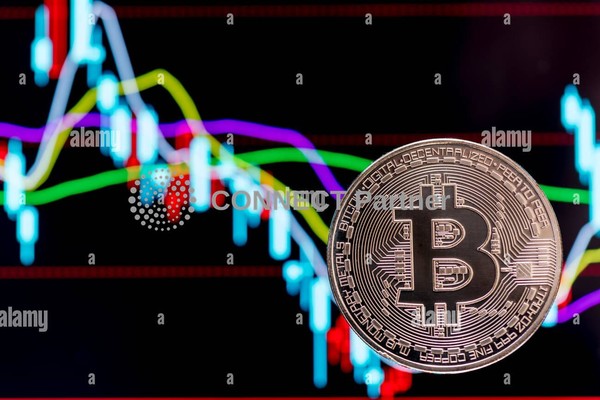 비트코인 시세 이미지. (출처=로이터통신)